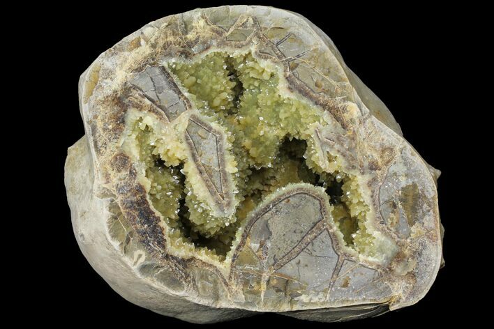 Yellow Crystal Filled Septarian Geode - Utah #97245